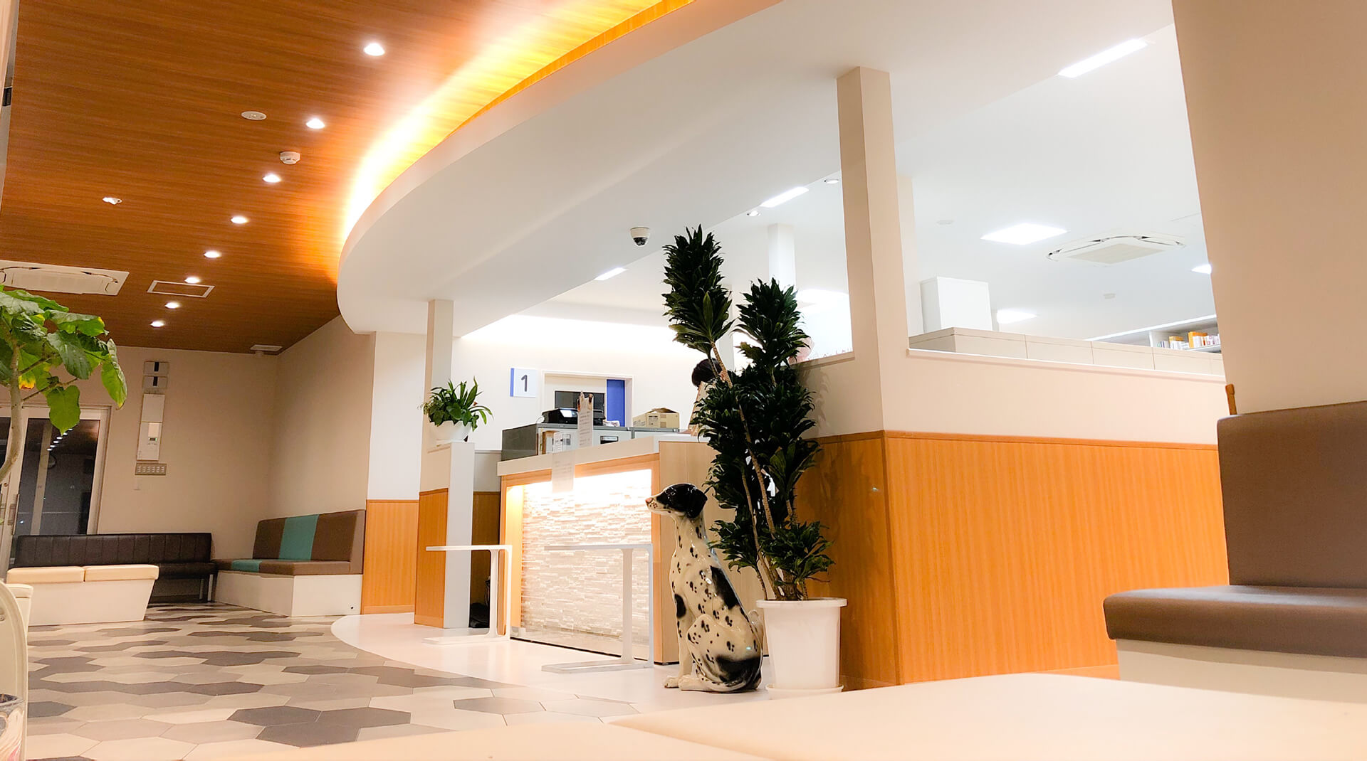 ペットクリニックオザワ